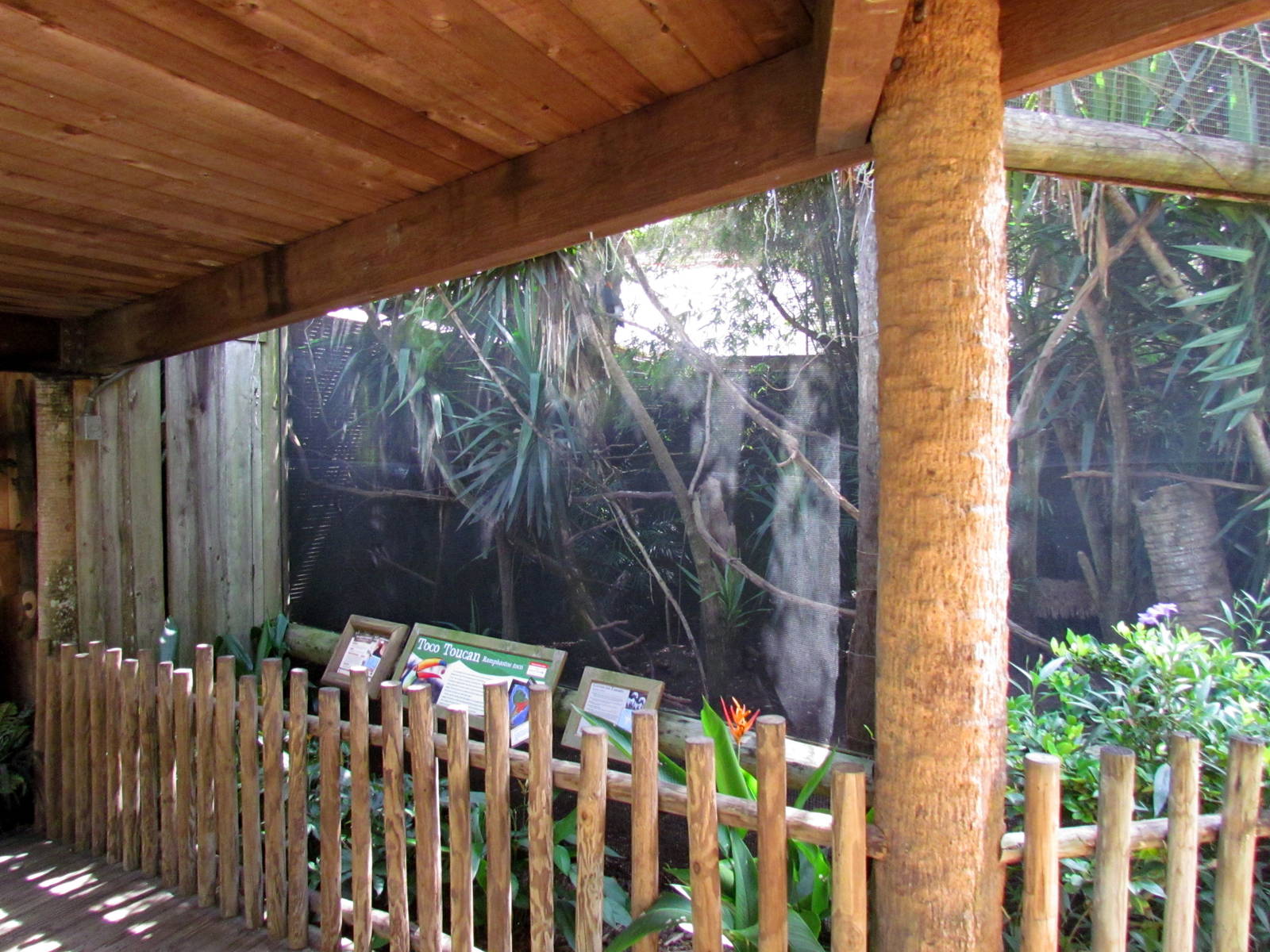 Toco Toucan and Cotton-top Tamarin Exhibit