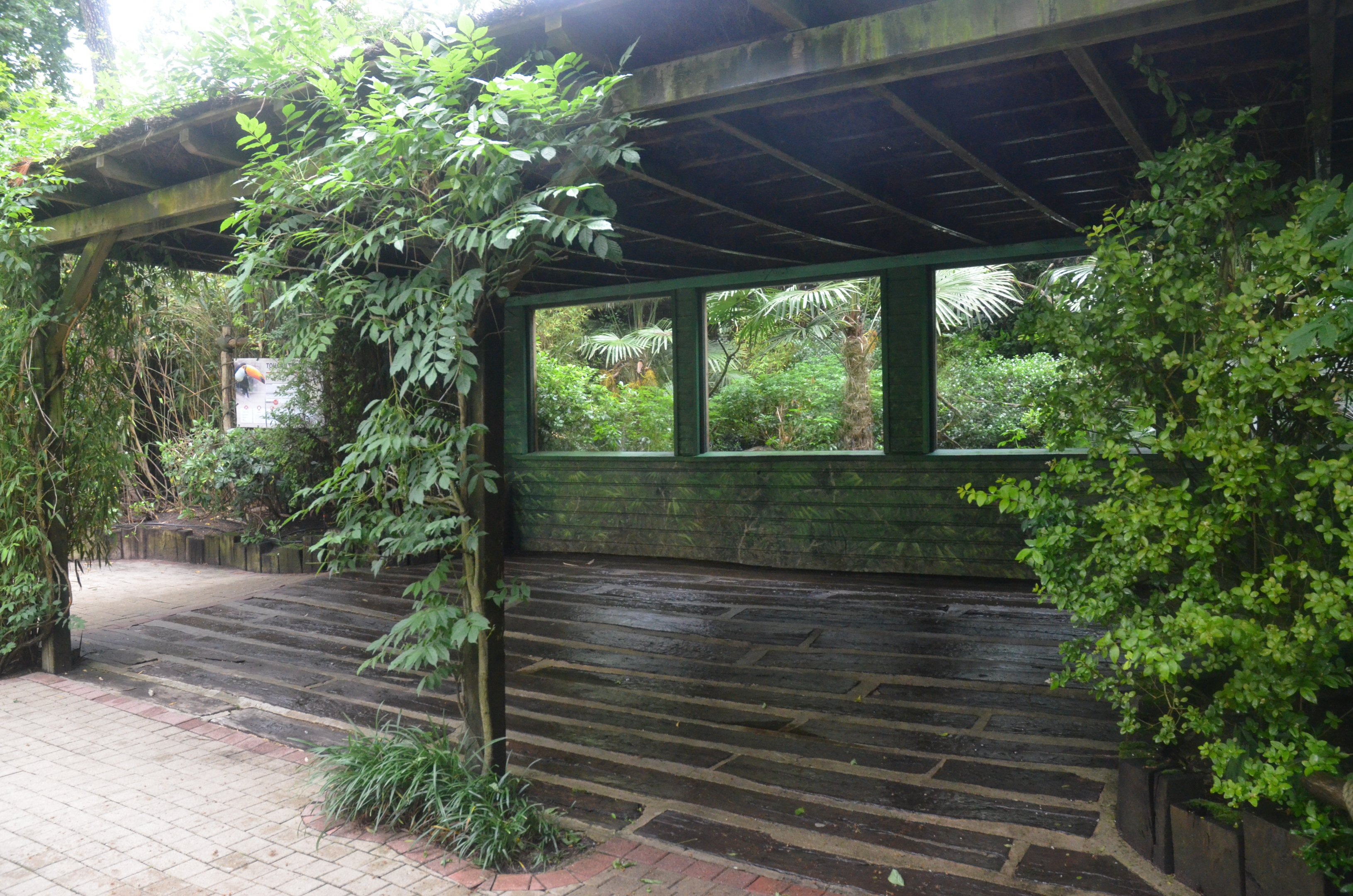 Toco Toucan Aviary at La Flèche, 11/06/18