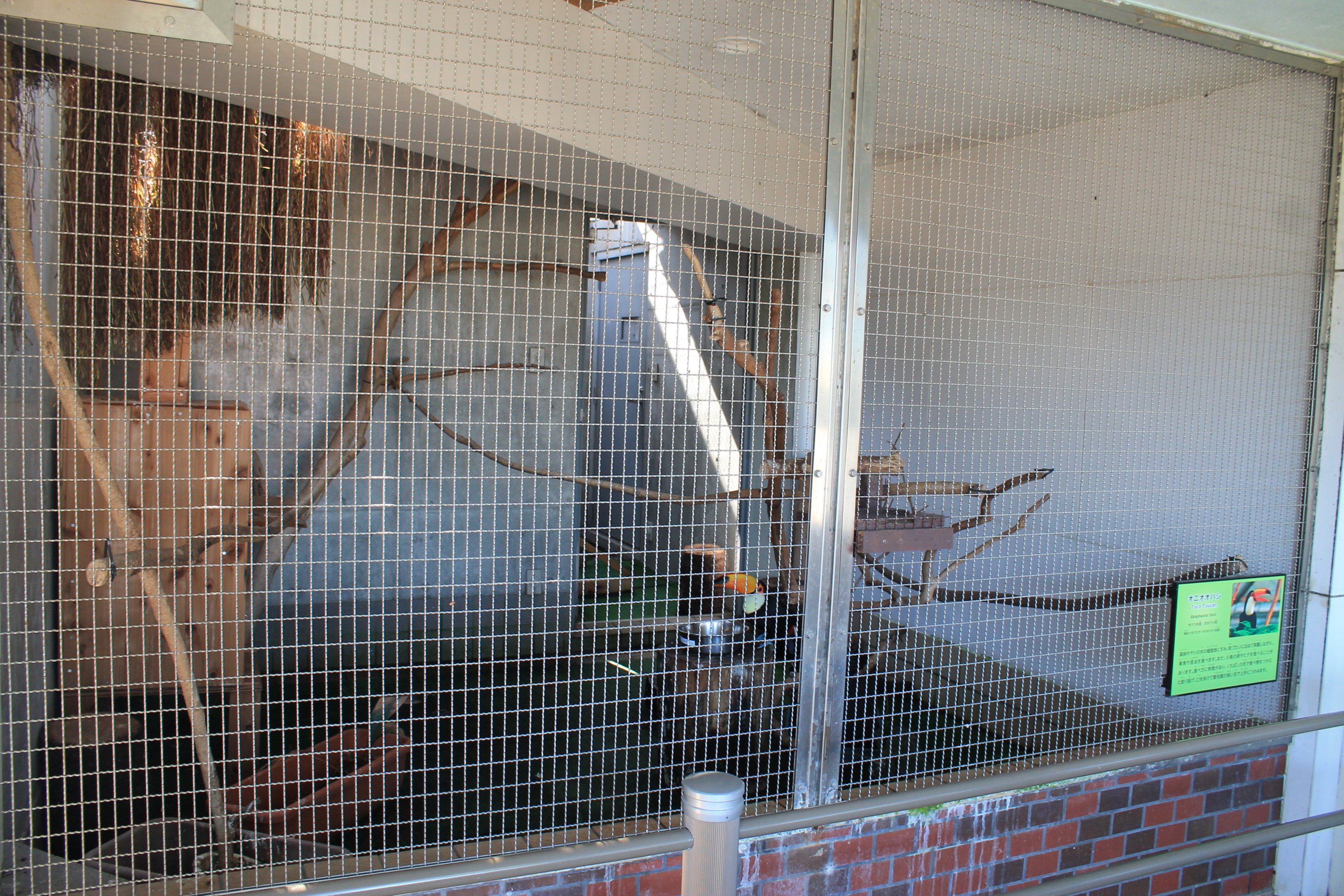 Toco Toucan aviary - Oshima Park Zoo