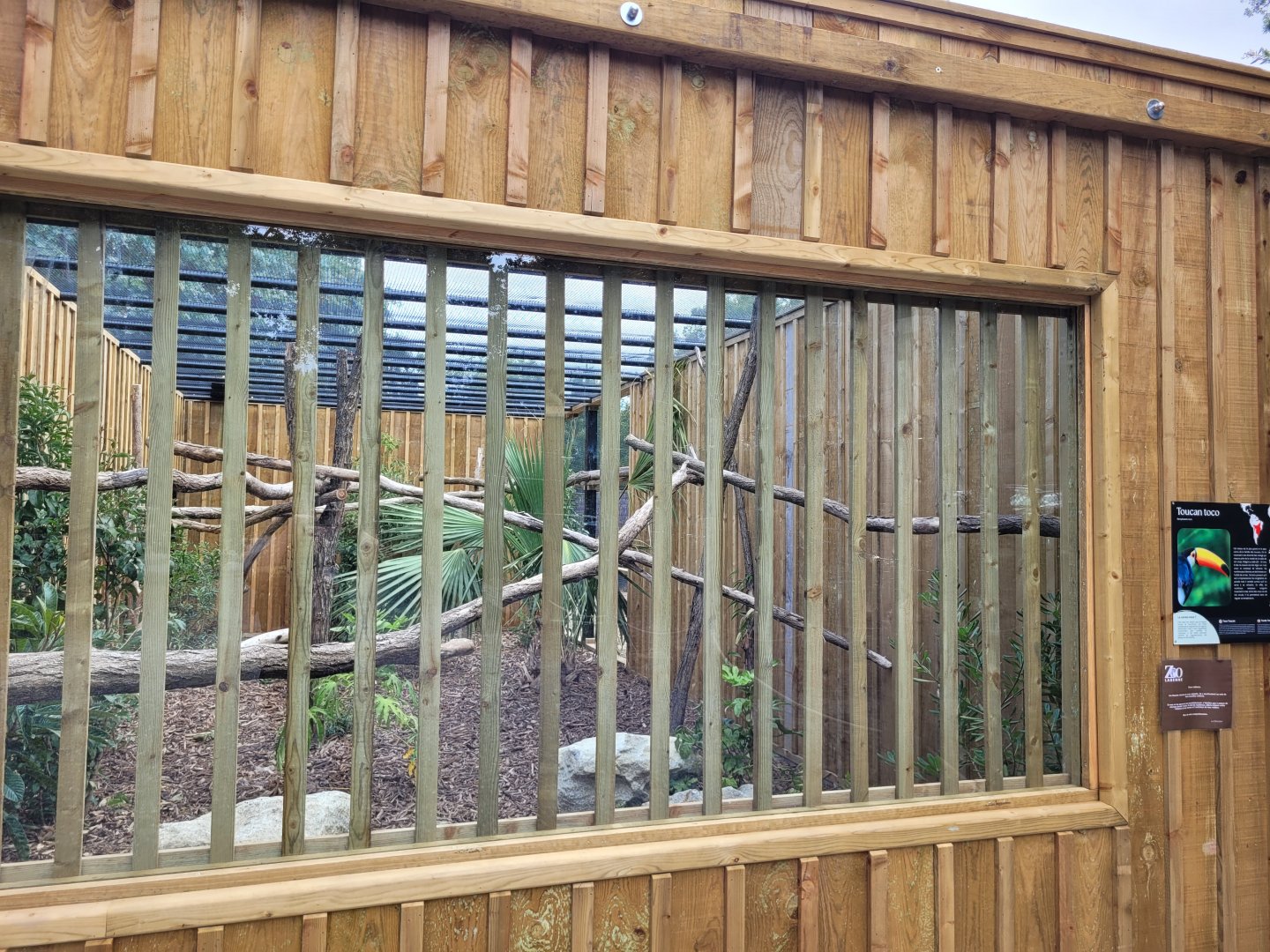 Toco toucan exhibit -Zoo de Labenne (2024)