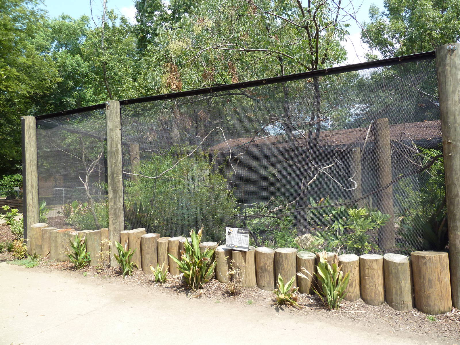 Toco Toucan Exhibit