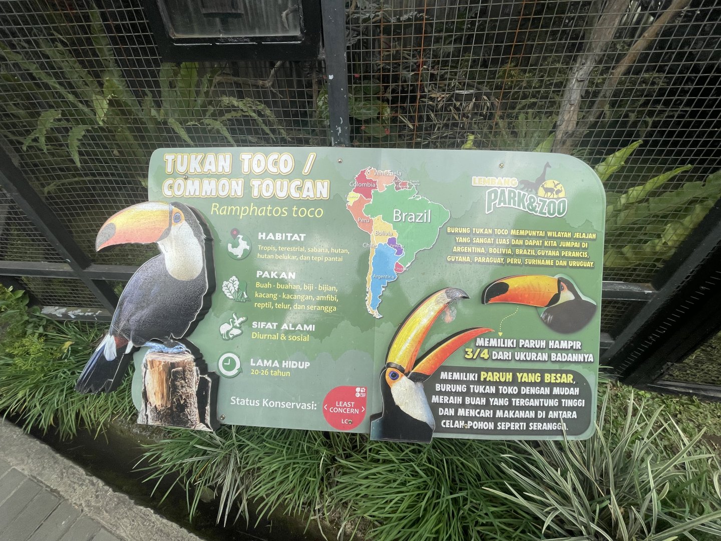 toco toucan signage
