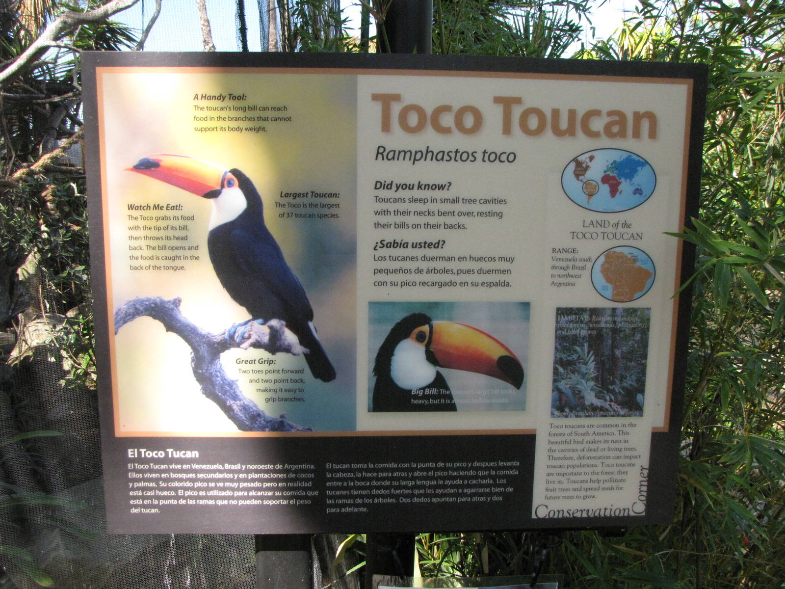 Toco Toucan Signage