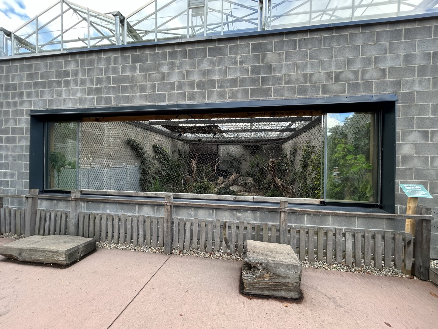 Toco Toucan, Southern Screamer, & Black-legged Seriema Exhibit