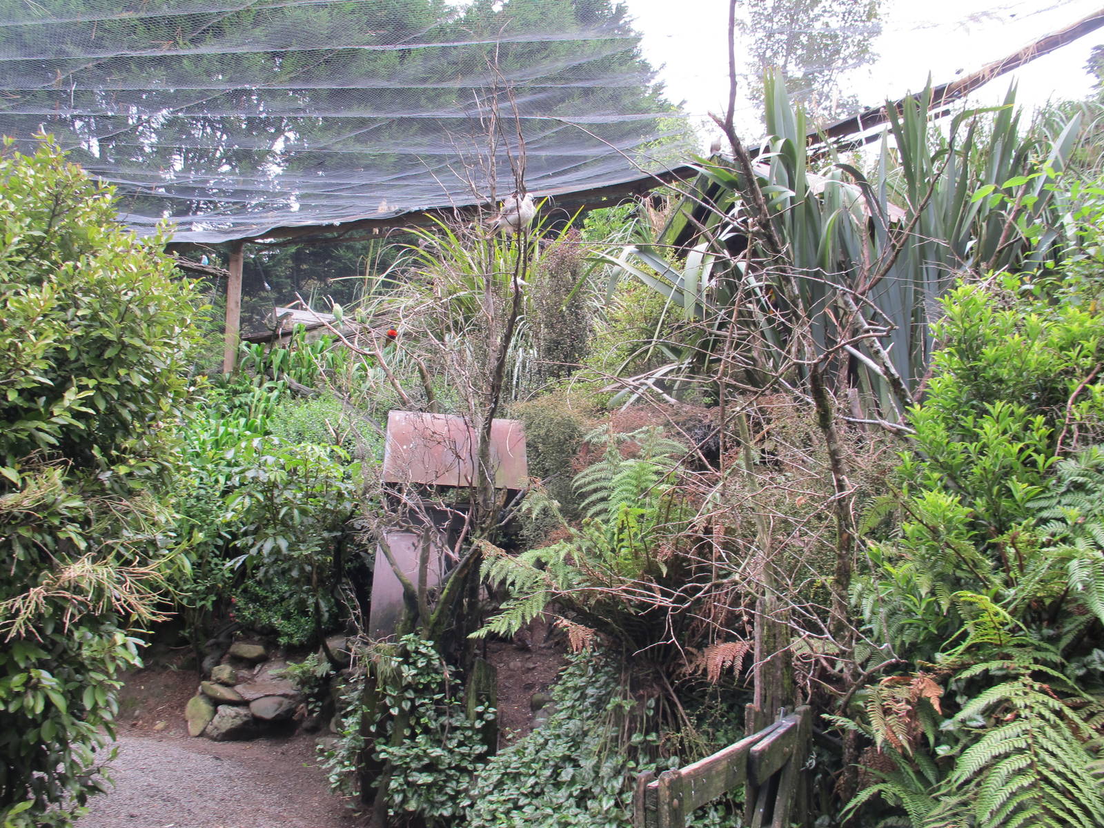 Toe Toe Aviary - Staglands 2013