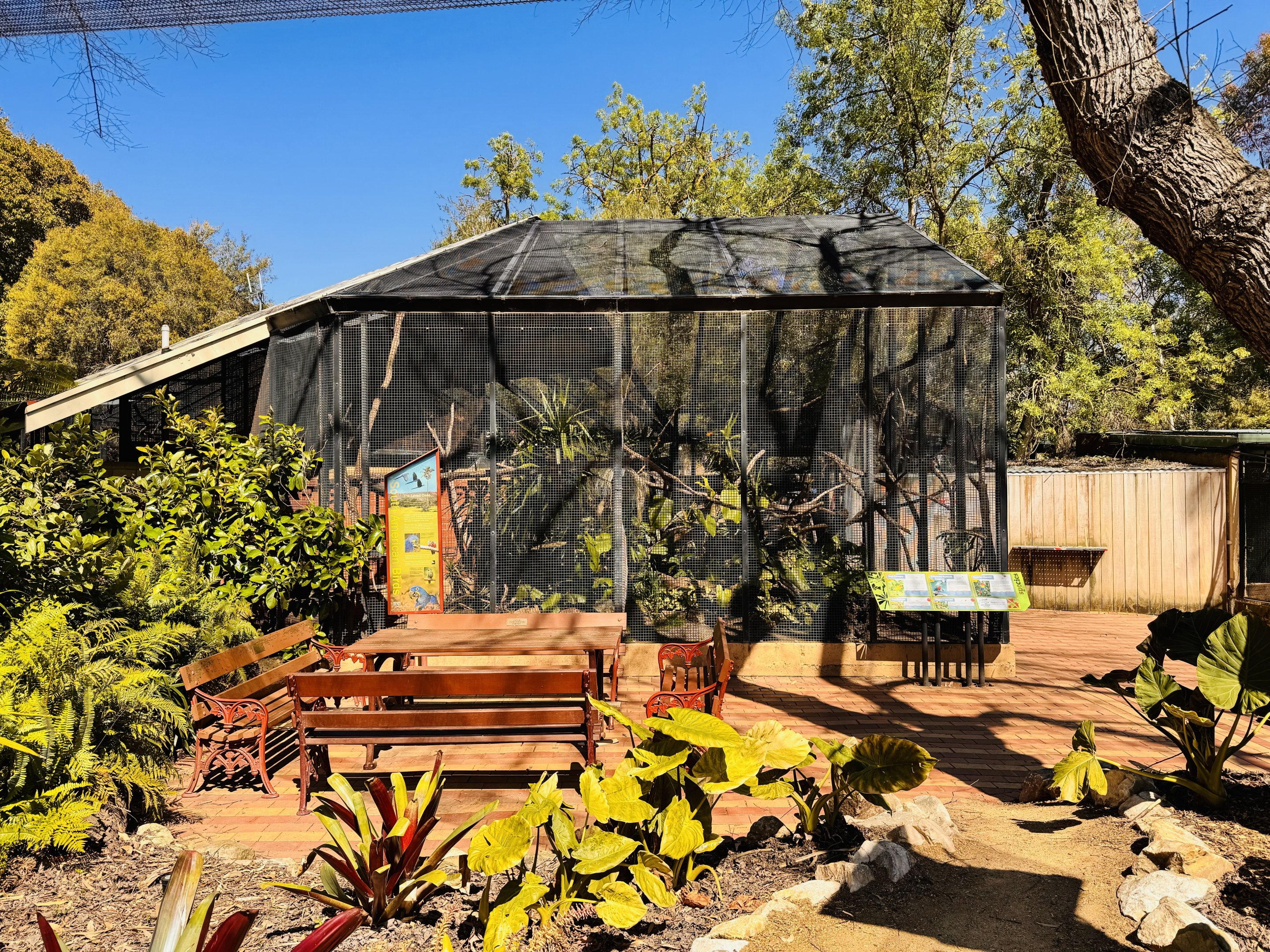 Toilet block aviaries - South American parrots