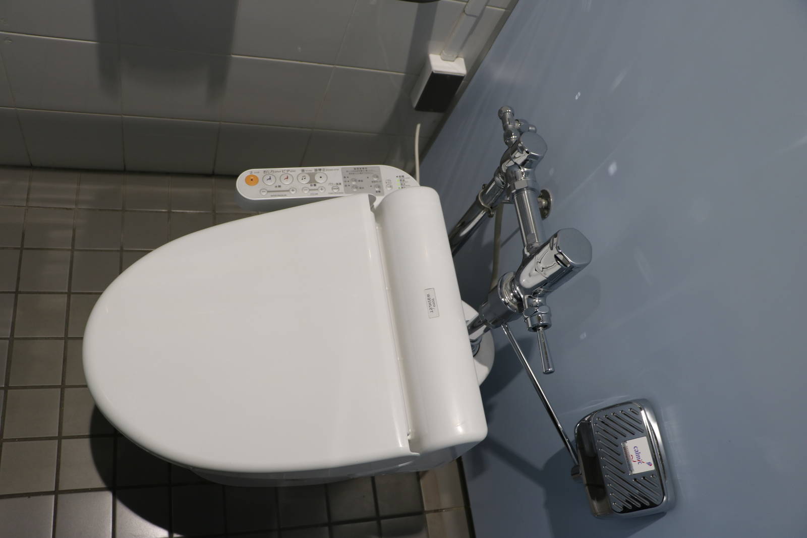 Toilet controls - Tokyo Sea Life Park, February 2016