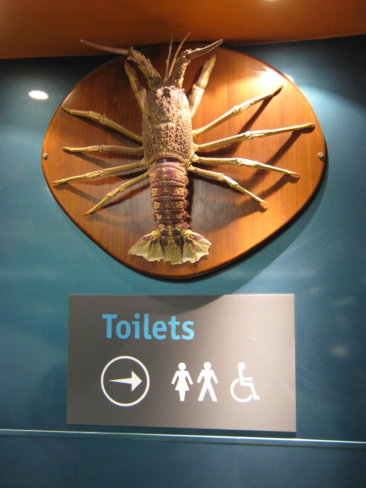 toilet crayfish