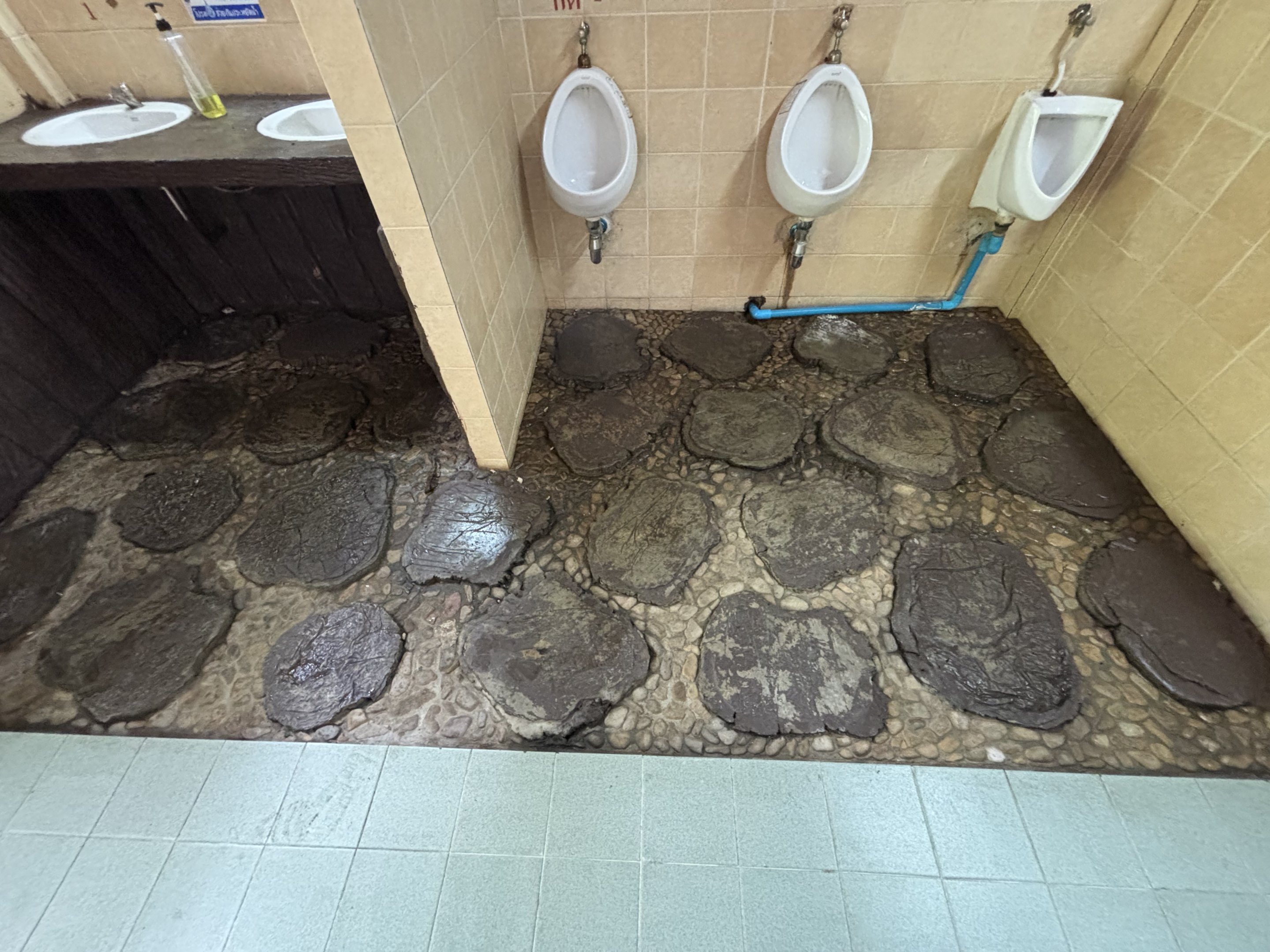 Toilets - tree stump flooring