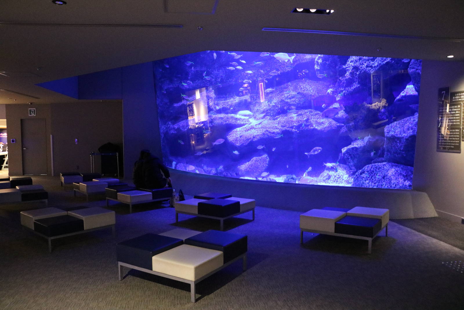 Tokyo tank viewing window - Sumida Aquarium, February 2016