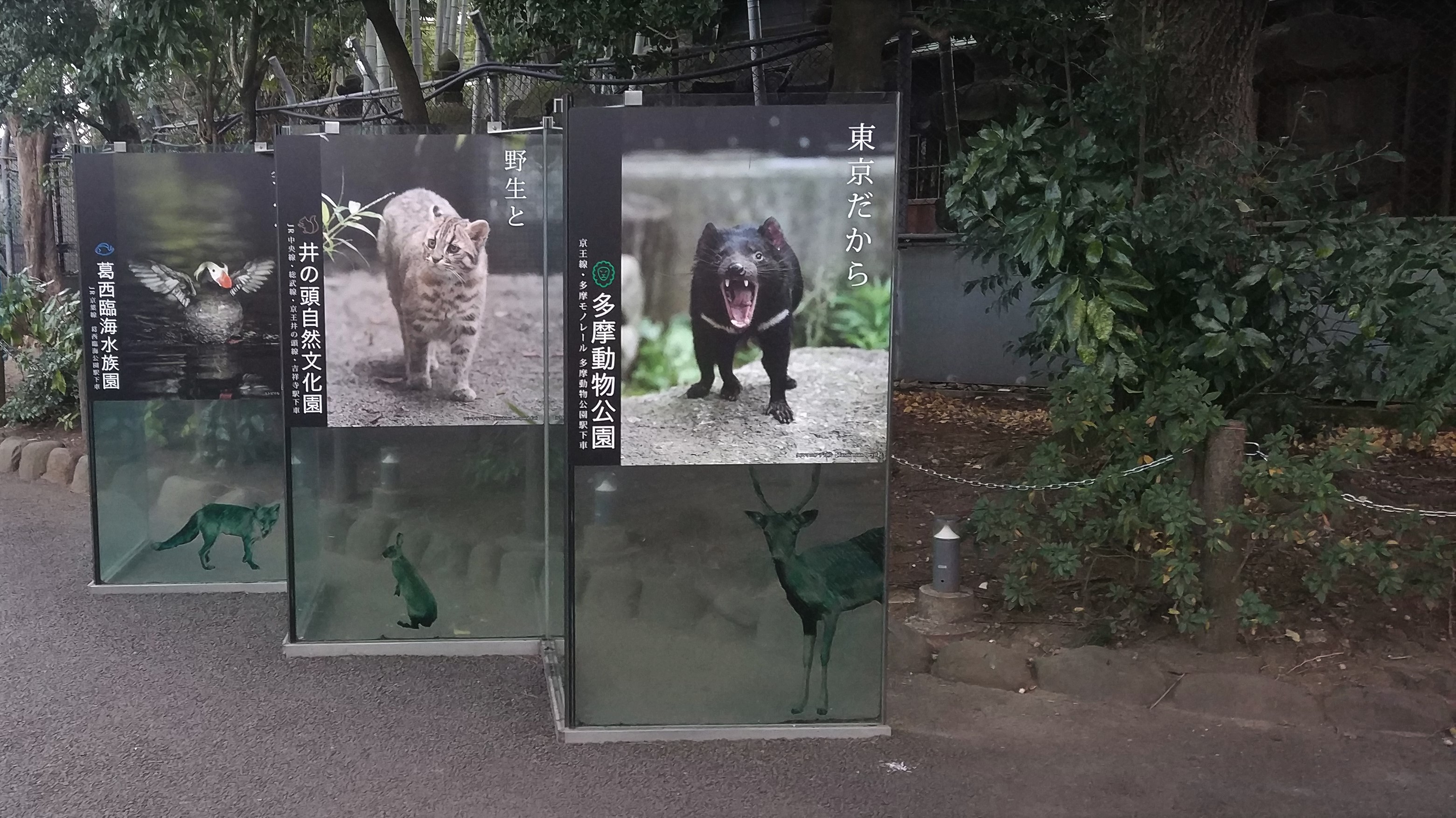 Tokyo Zoo Signs