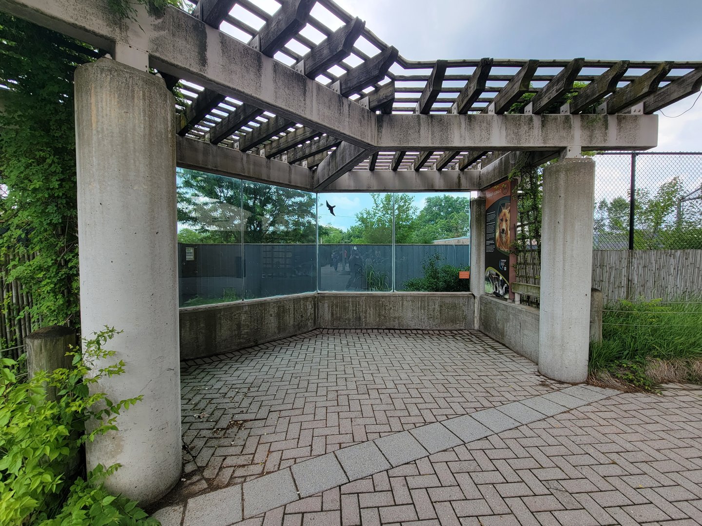 Toledo - 2nd dingo yard