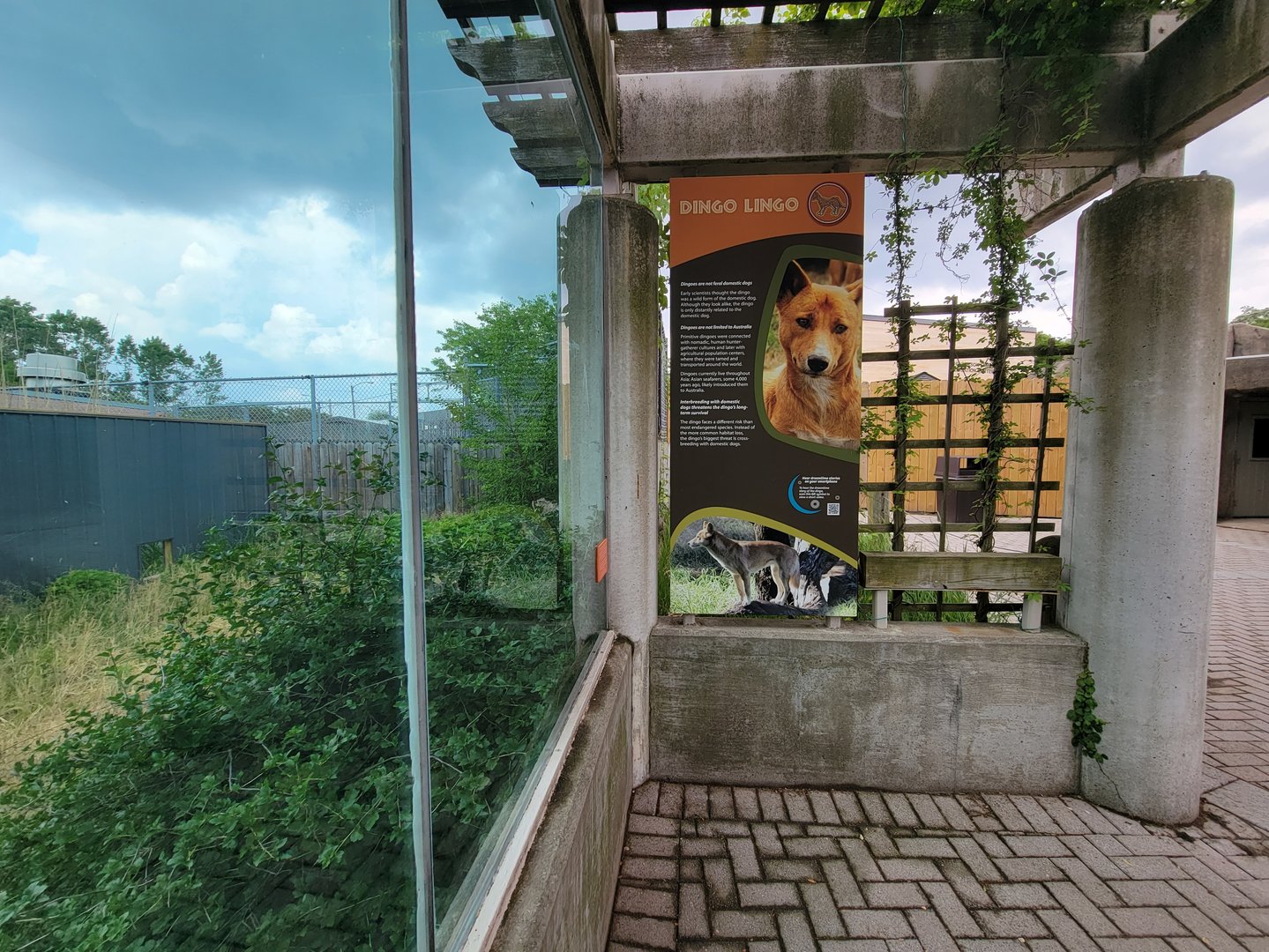 Toledo - 2nd dingo yard