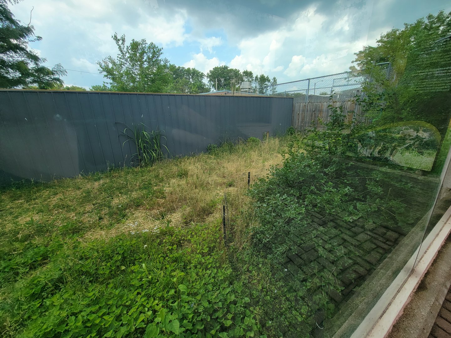 Toledo - 2nd dingo yard