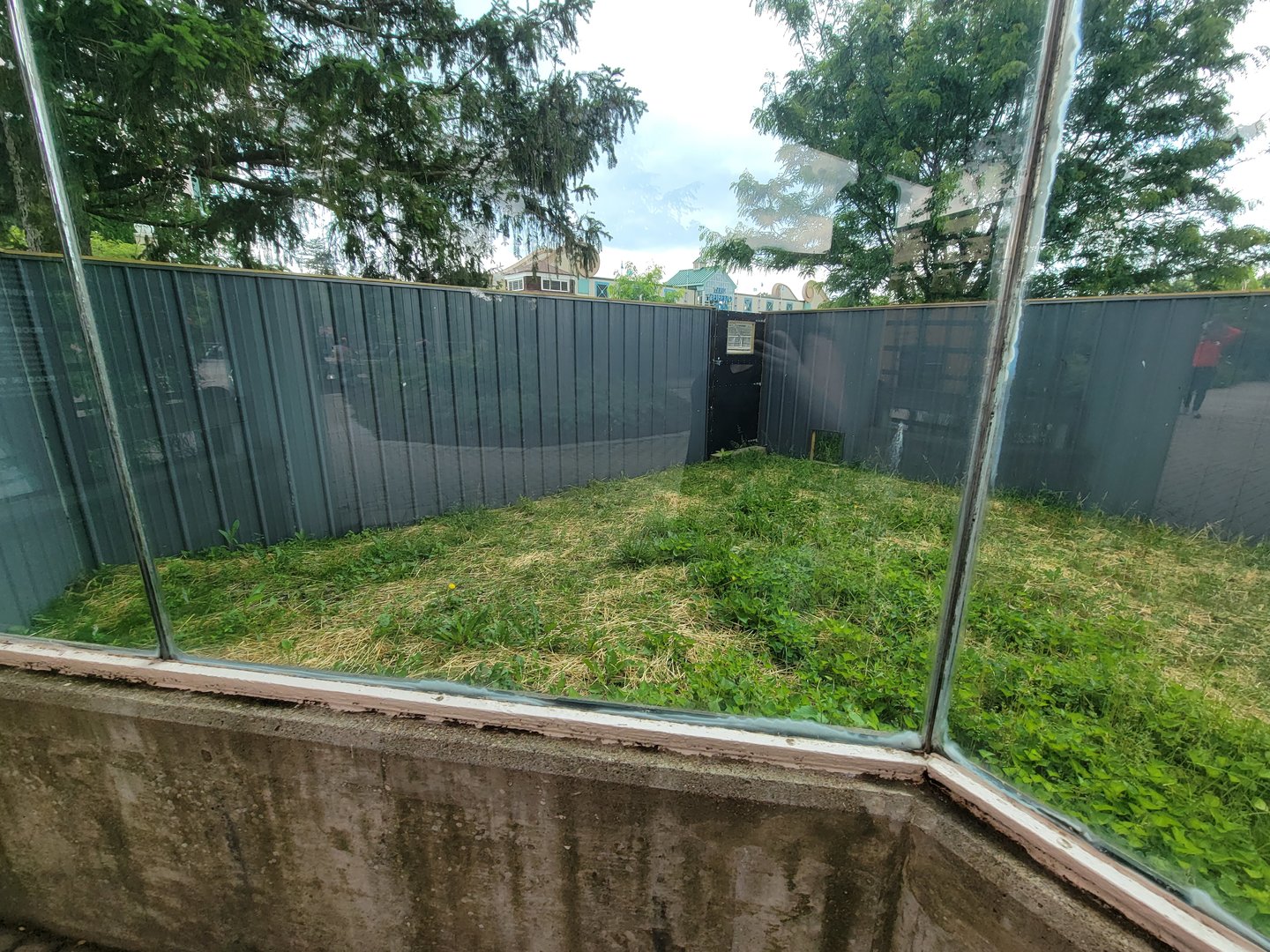 Toledo - 2nd dingo yard