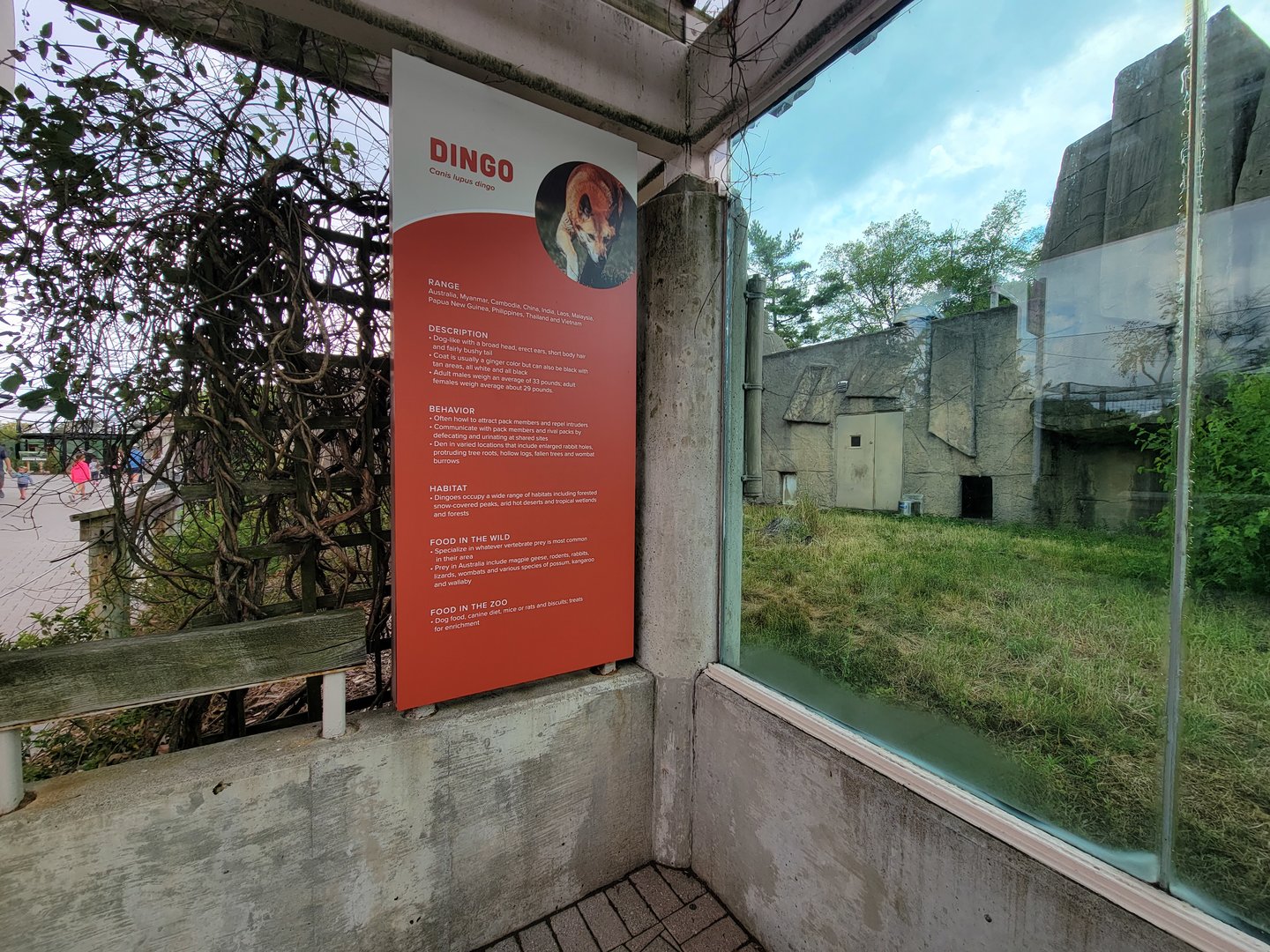 Toledo - Dingo sign... I'm pretty sure there aren't dingos in India or Vietnam?