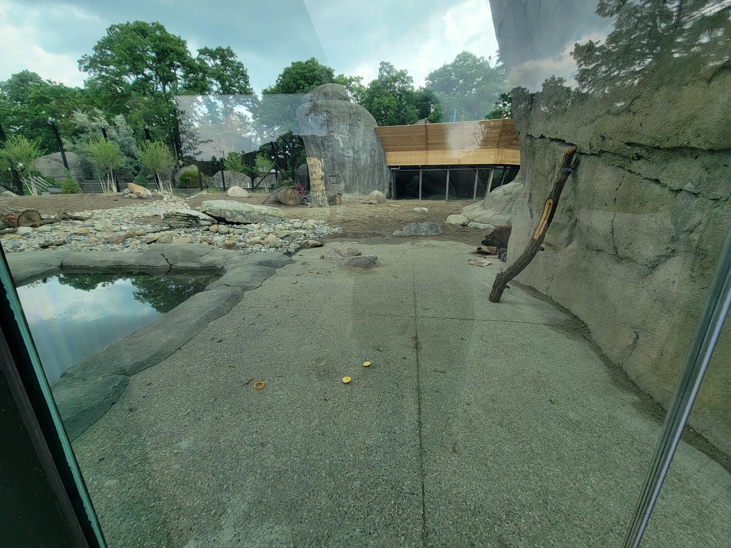 Toledo - Kodiak Ridge