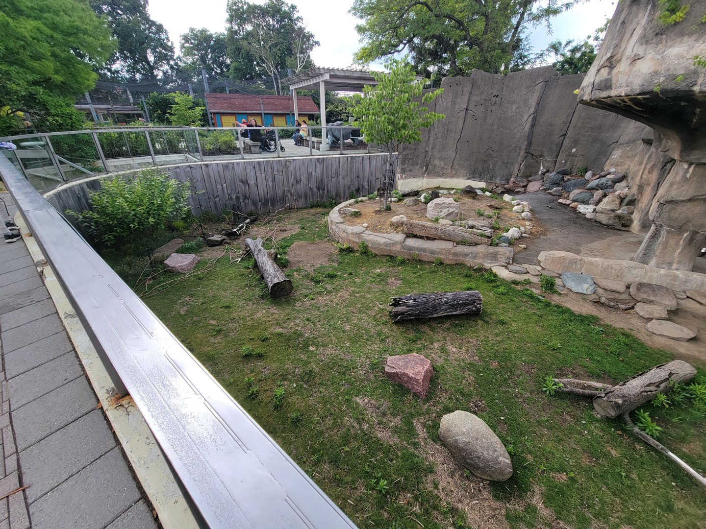 Toledo - Patagonian Mara