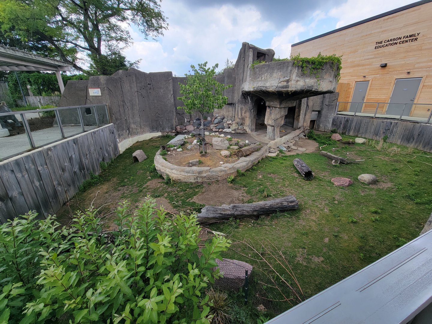 Toledo - Patagonian Mara