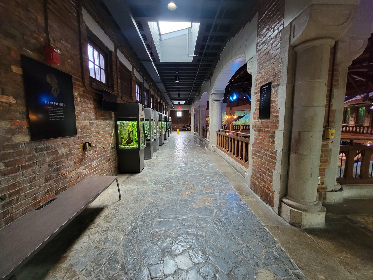 Toledo, Promedica Museum - Amphibian hallway