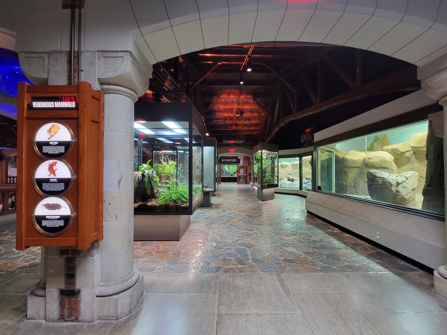 Toledo, Promedica Museum - Hall of Venom from Venomous Snakes room