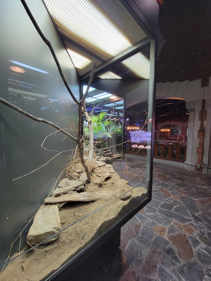 Toledo, Promedica Museum - Hall of Venom, Gila monster