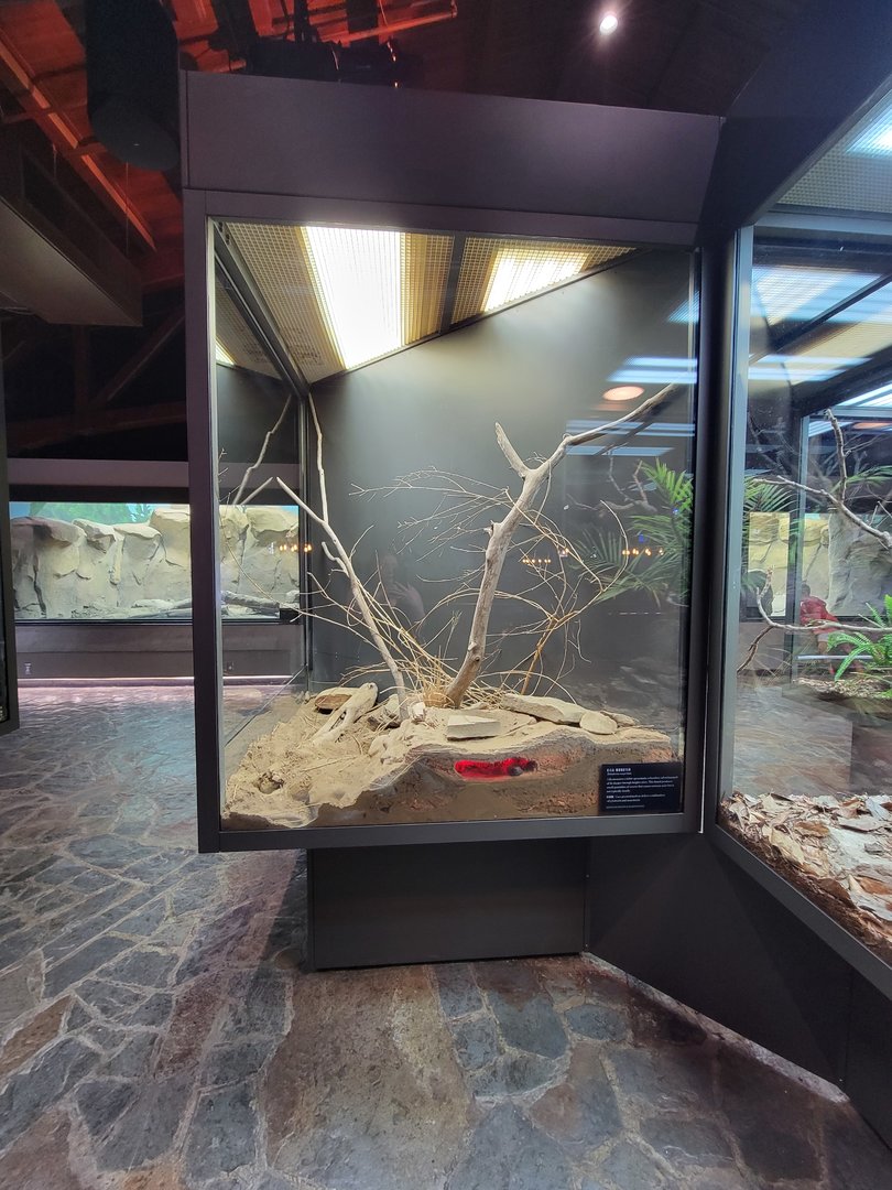 Toledo, Promedica Museum - Hall of Venom, Gila monster