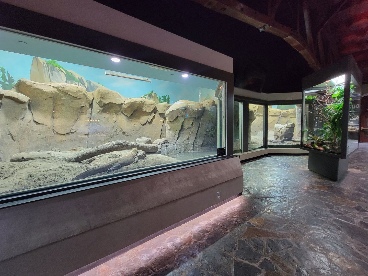 Toledo, Promedica Museum - Hall of Venom, Komodo dragons