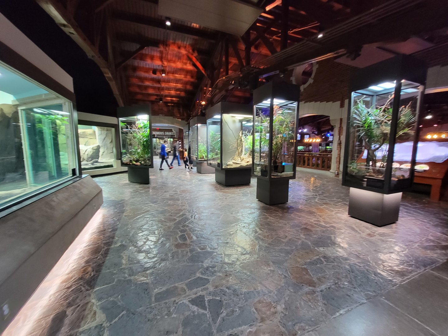 Toledo, Promedica Museum - Hall of Venom