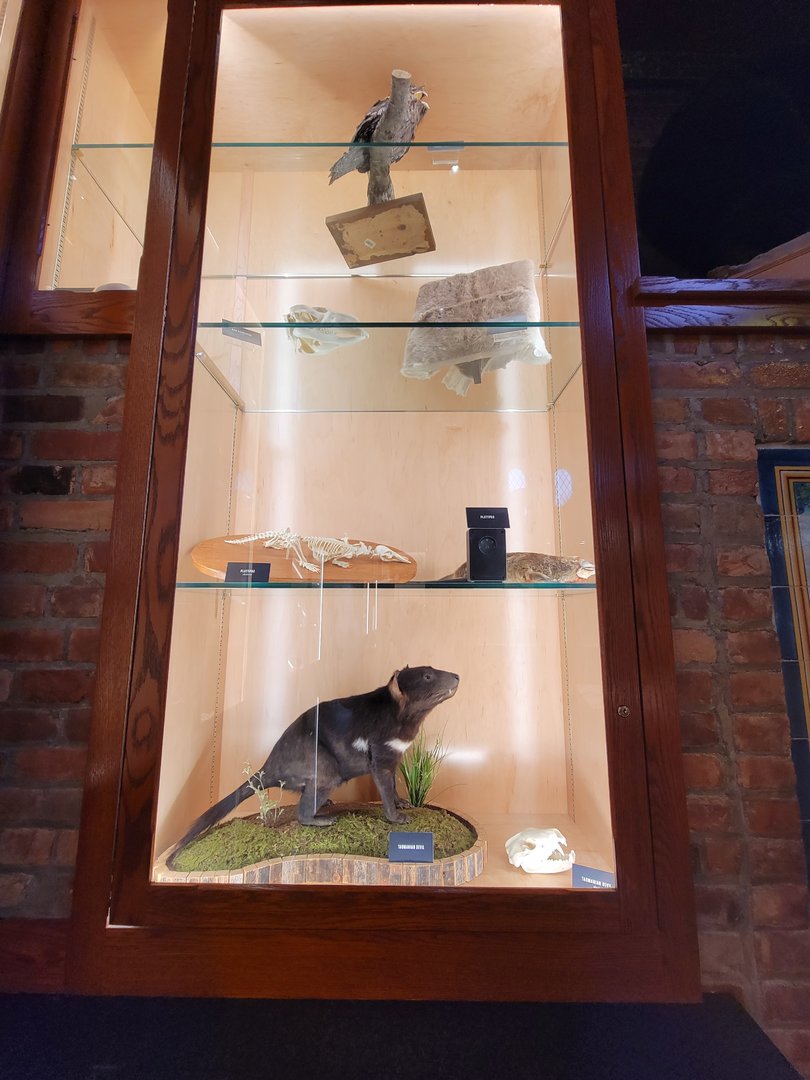 Toledo, Promedica Museum - Nature in Hand, Australian species