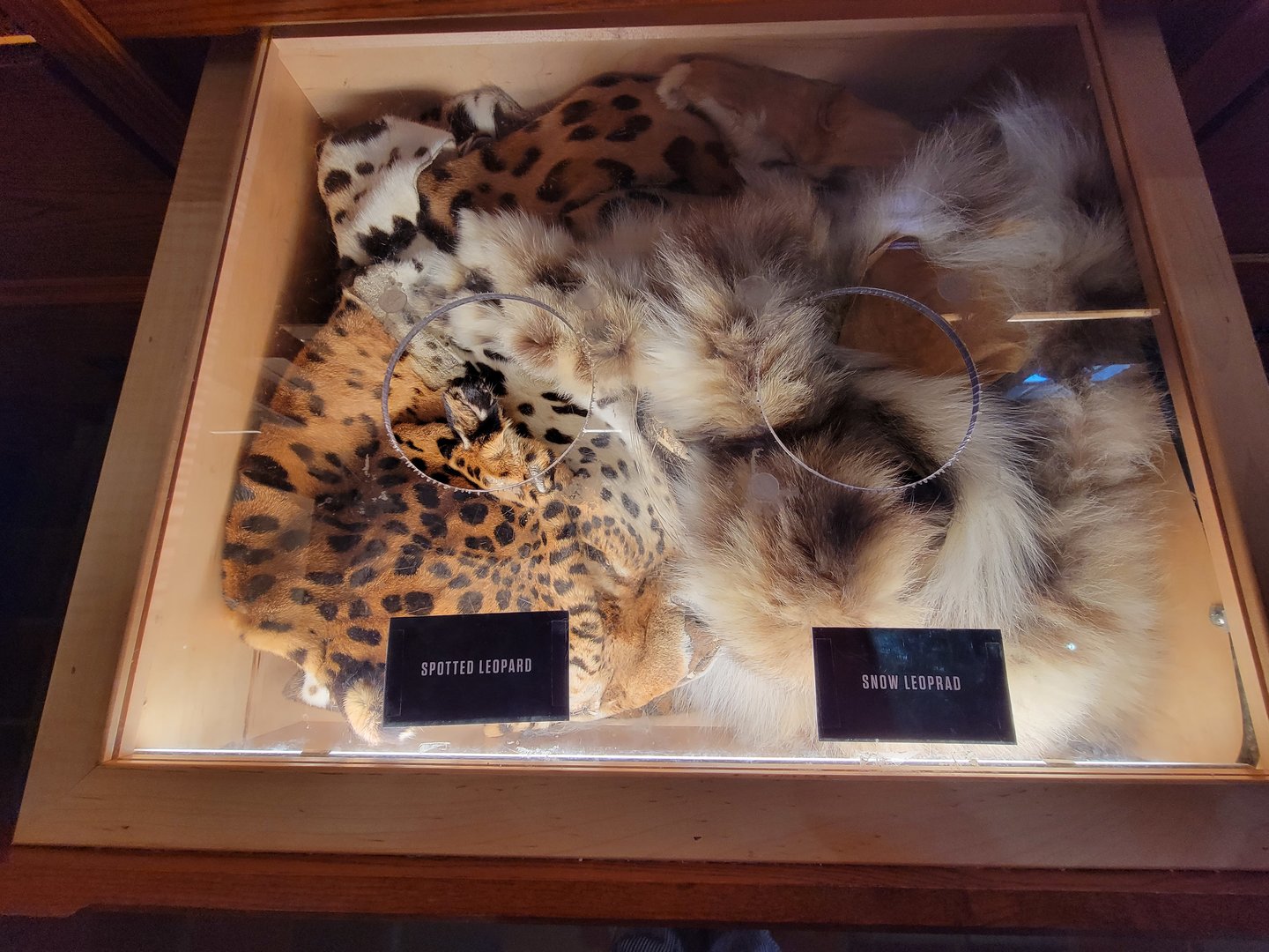 Toledo, Promedica Museum - Nature in Hand, pelts to touch