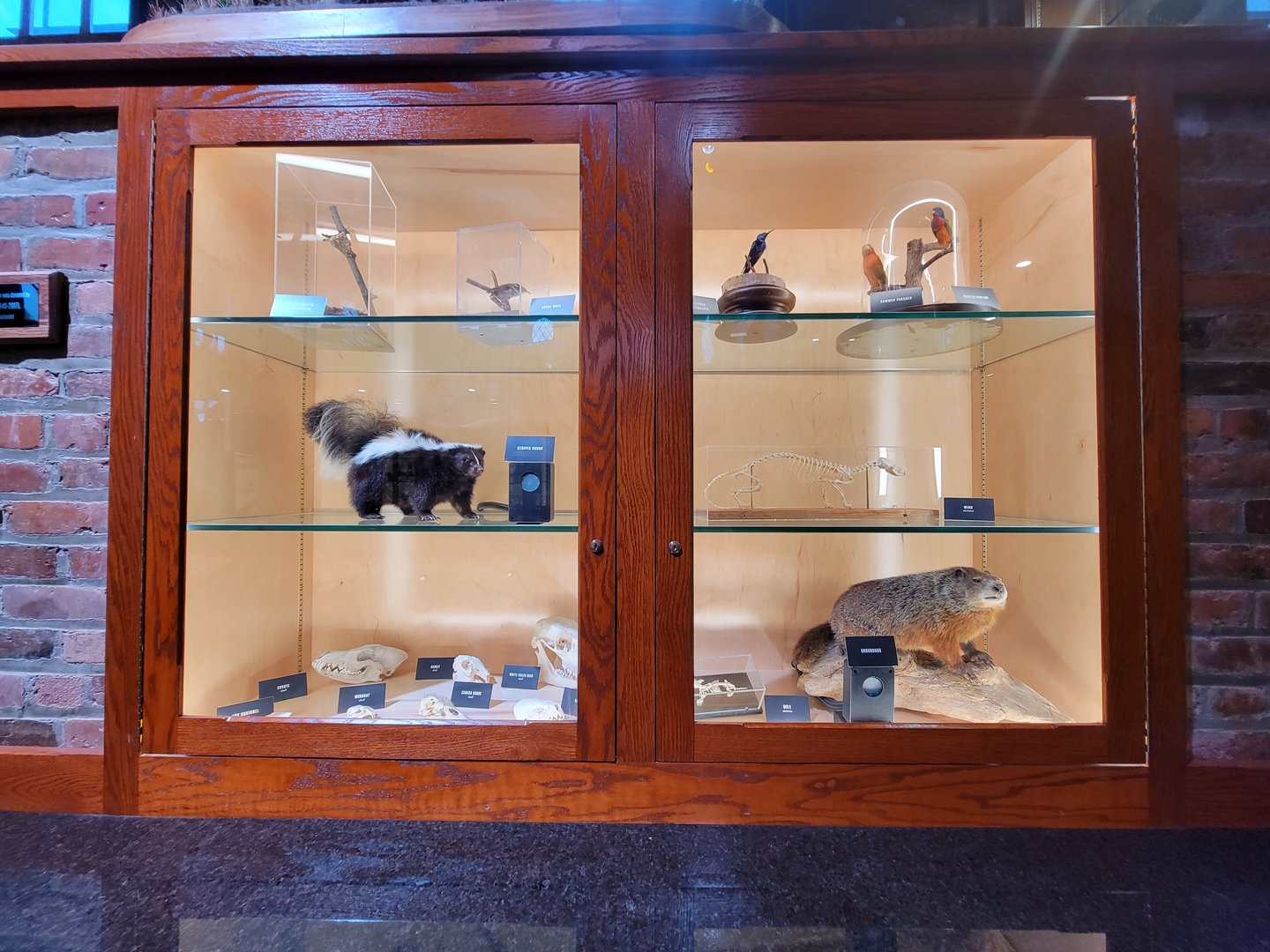 Toledo, Promedica Museum - Nature in Hand, various native species