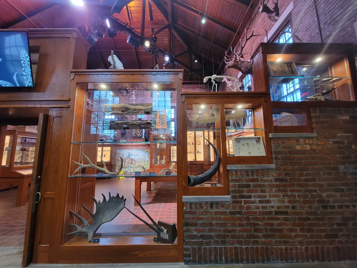 Toledo, Promedica Museum - Nature in Hand