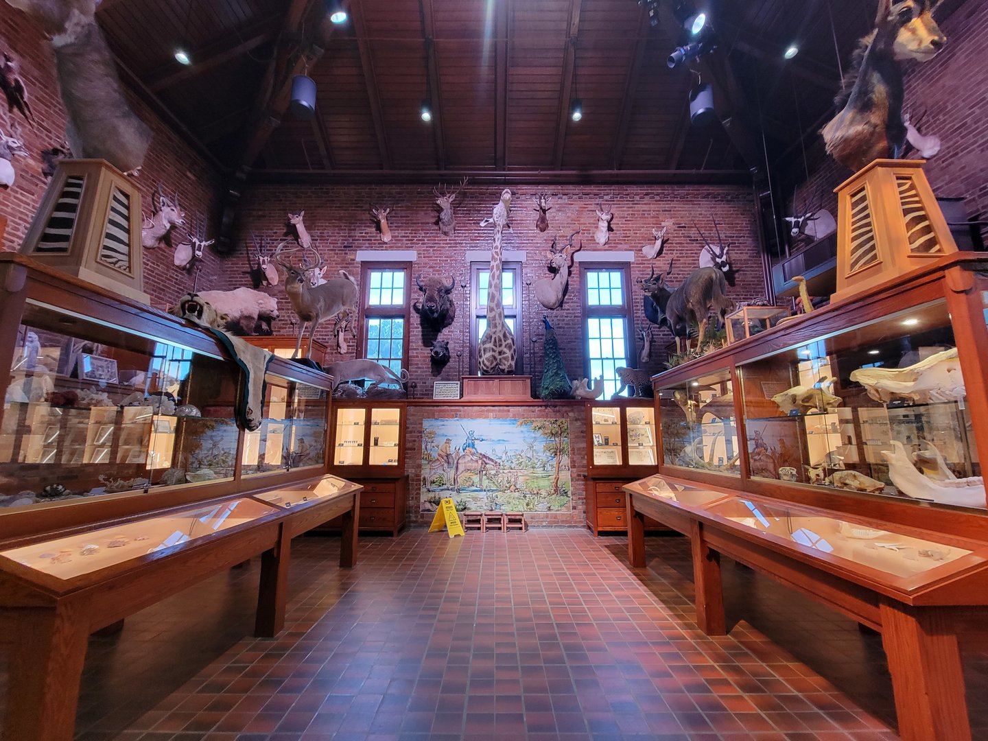 Toledo, Promedica Museum - Nature in Hand