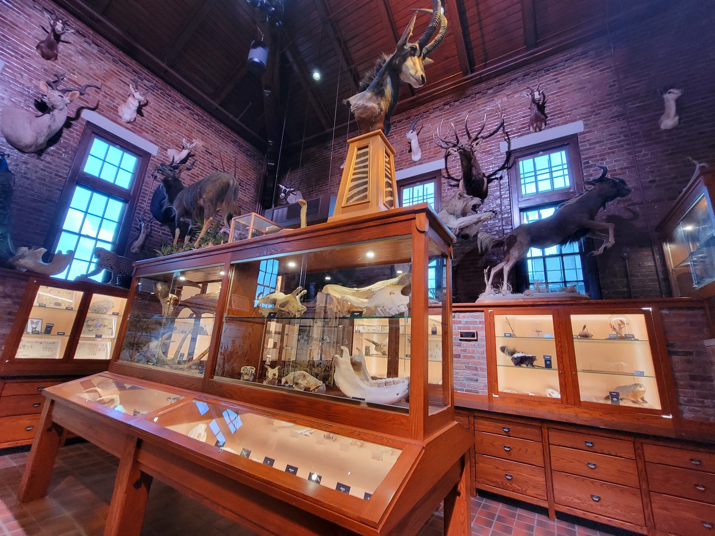 Toledo, Promedica Museum - Nature in Hand