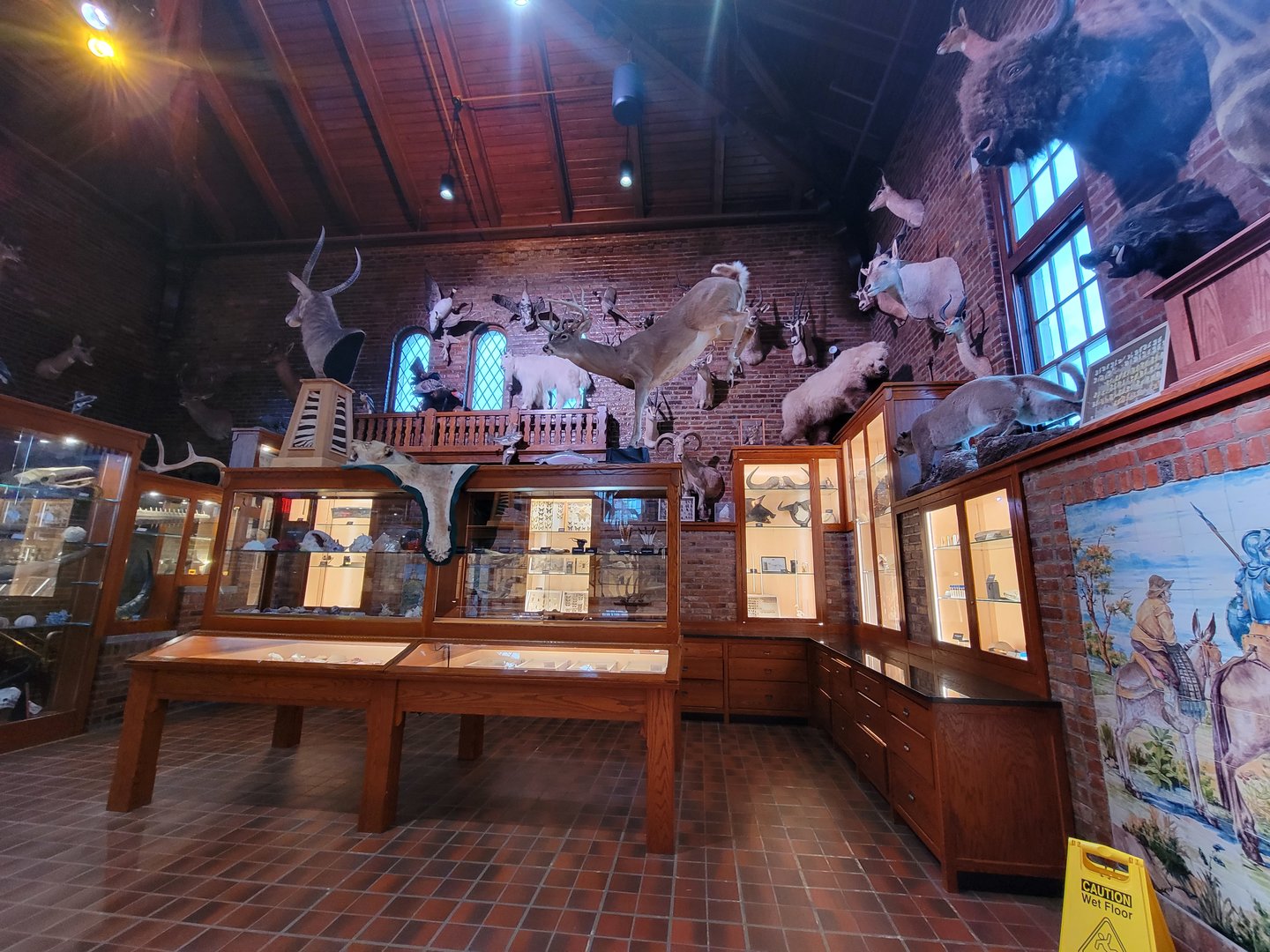 Toledo, Promedica Museum - Nature in Hand