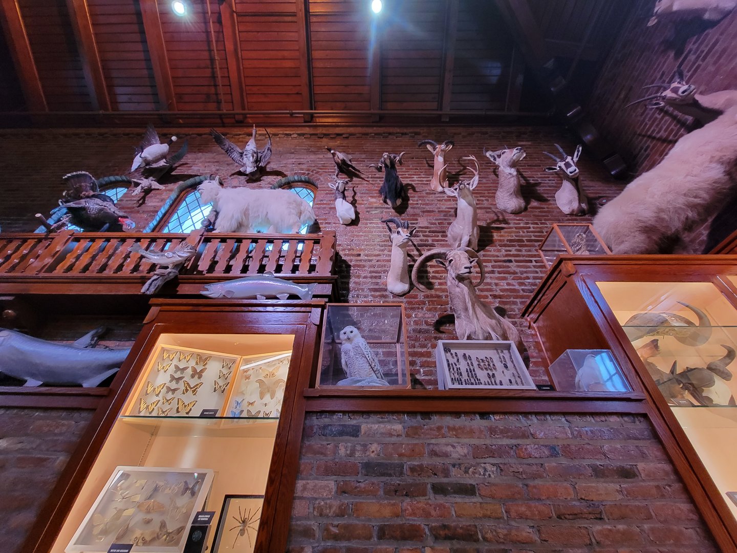 Toledo, Promedica Museum - Nature in Hand