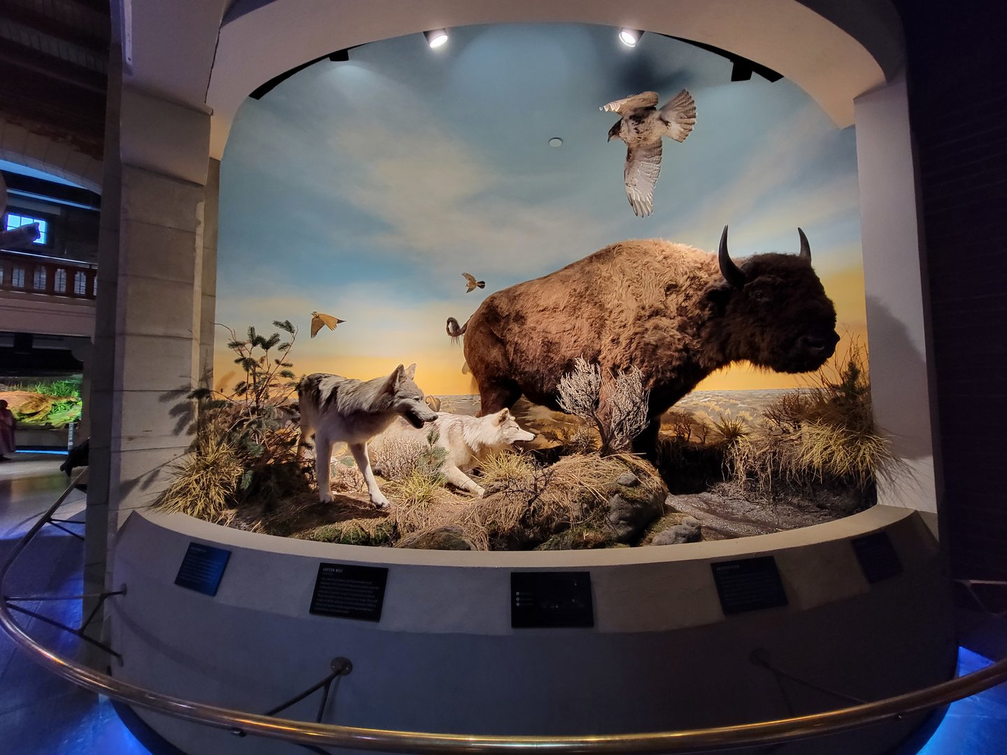 Toledo, Promedica Museum - Ohio: After the Ice