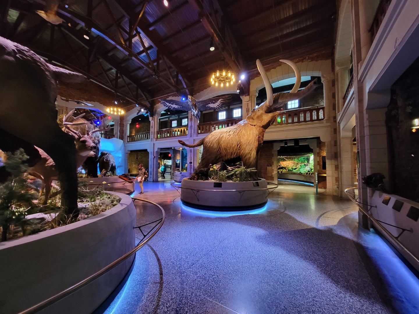 Toledo, Promedica Museum - Ohio: After the Ice