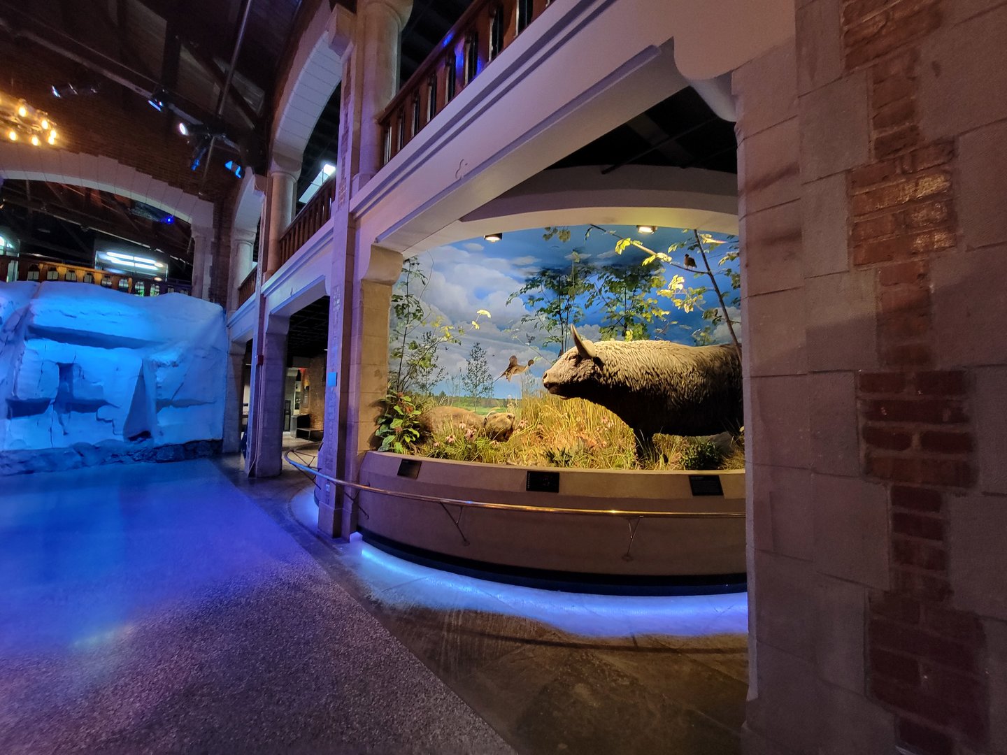 Toledo, Promedica Museum - Ohio: After the Ice