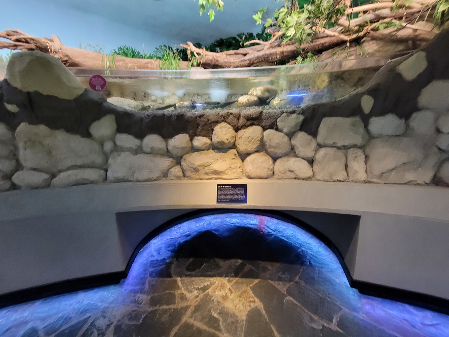 Toledo, Promedica Museum - Rivers & Streams