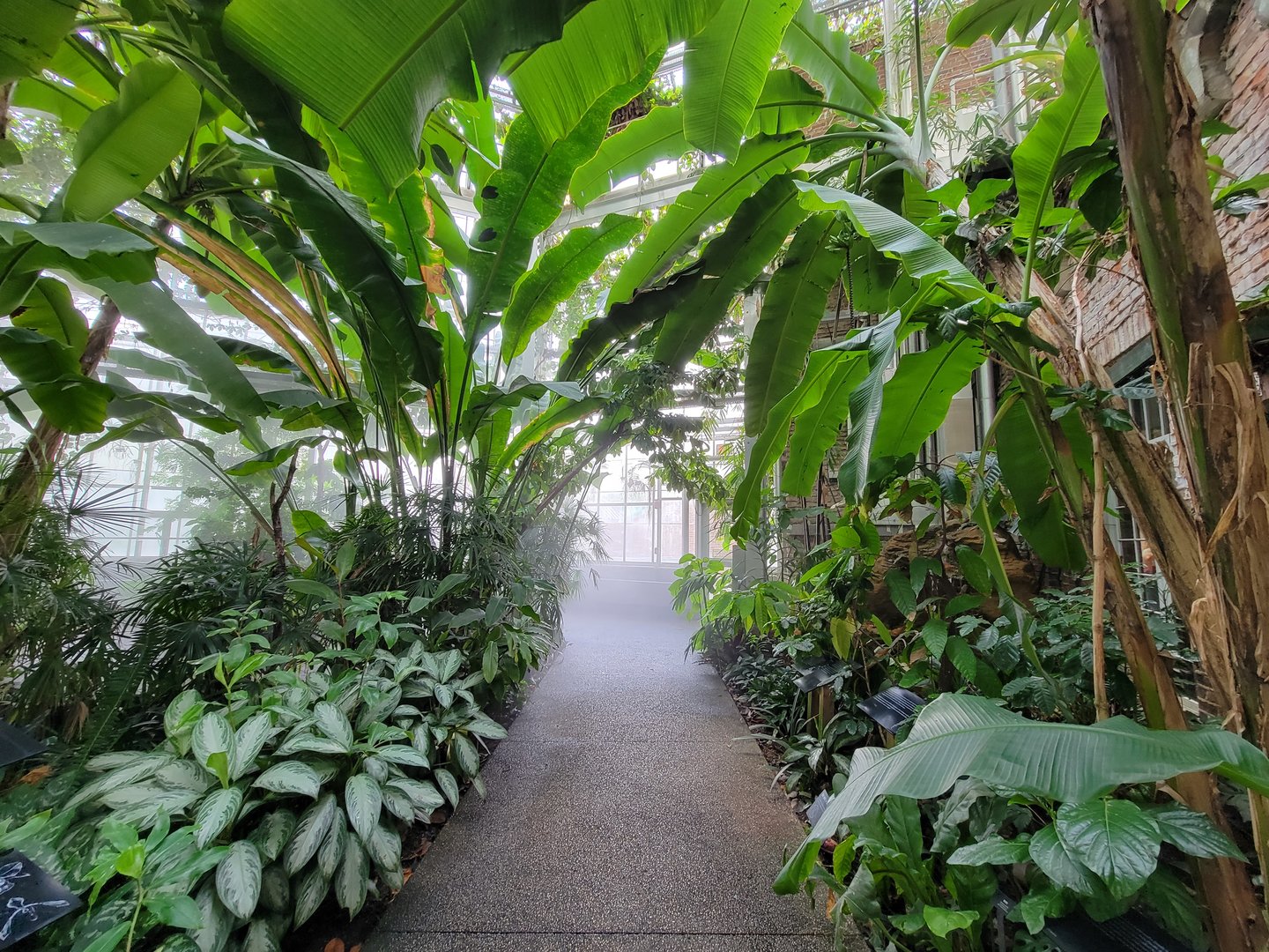 Toledo, Promedica Museum - Tropics