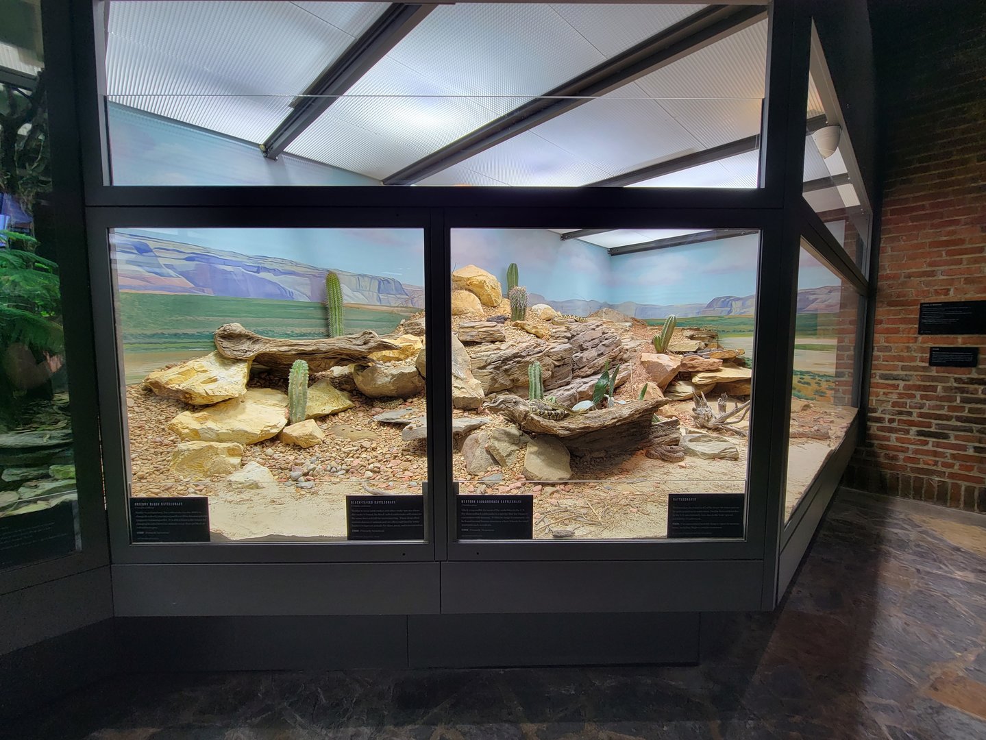 Toledo, Promedica Museum - Venomous Snakes, Large rattlesnake exhibit