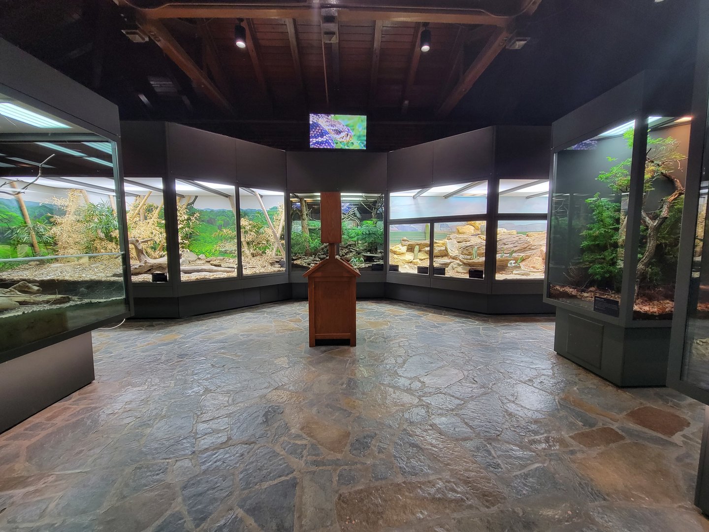 Toledo, Promedica Museum - Venomous Snakes, left wall (king cobra, mangshan, rattlesnakes)