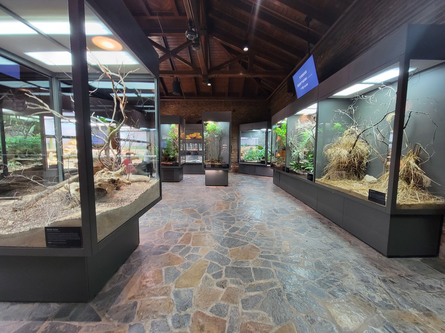 Toledo, Promedica Museum - Venomous Snakes, right side of room