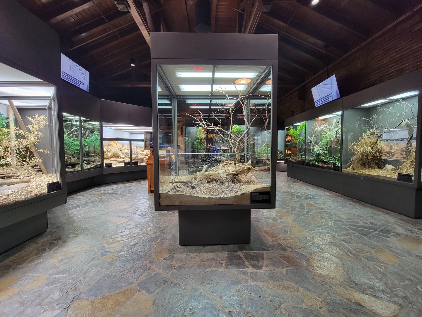 Toledo, Promedica Museum - Venomous Snakes room, Inland taipan in center