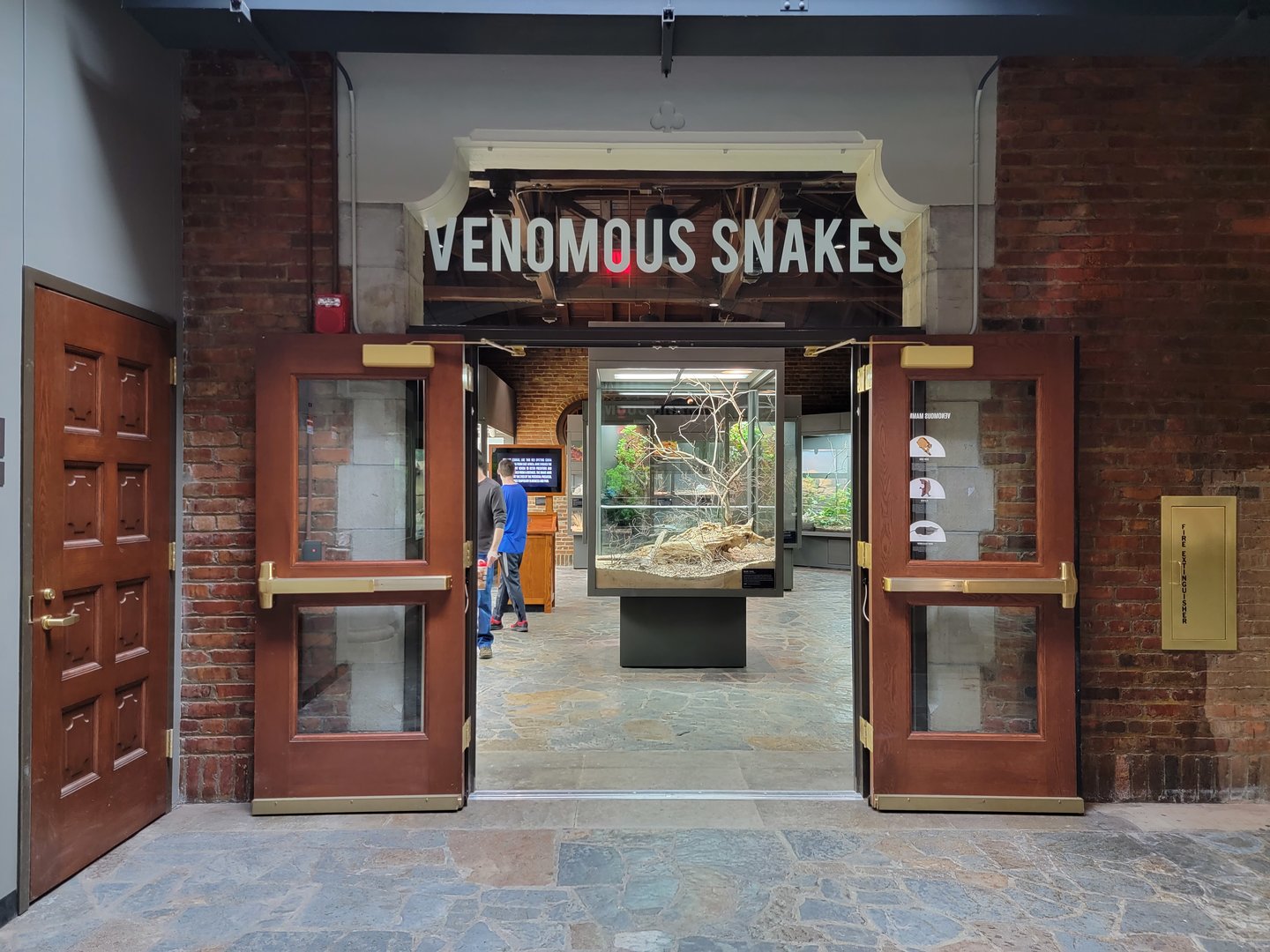 Toledo, Promedica Museum - Venomous Snakes room