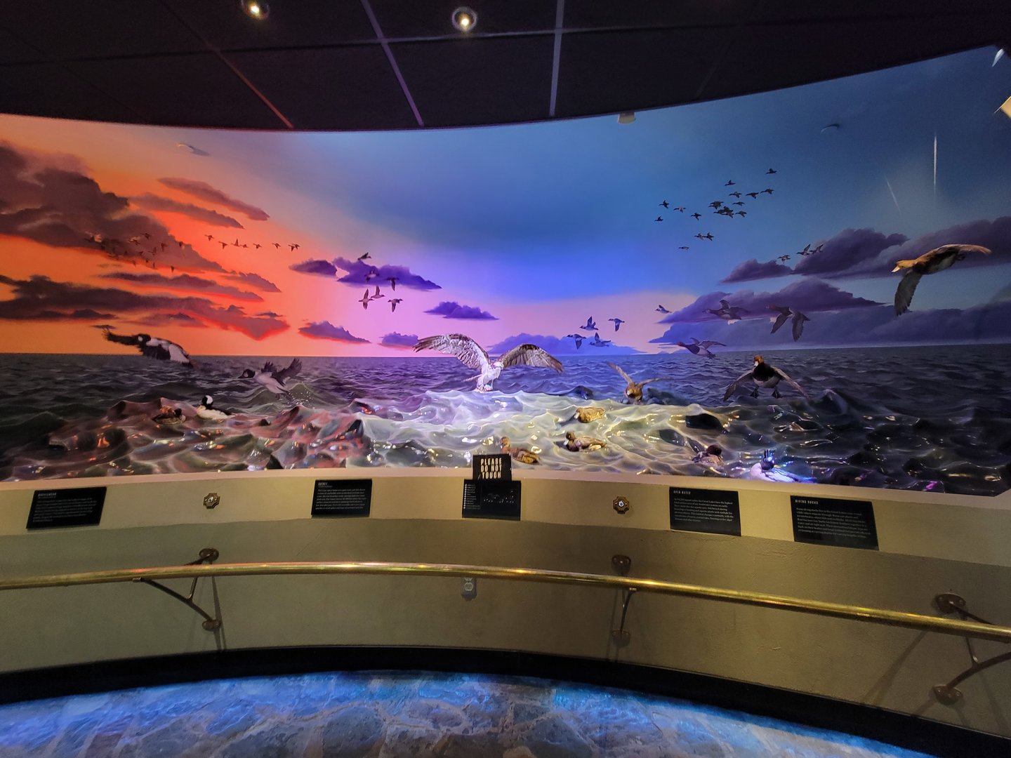 Toledo, Promedica Museum - Wetlands & Lakes, dioramas