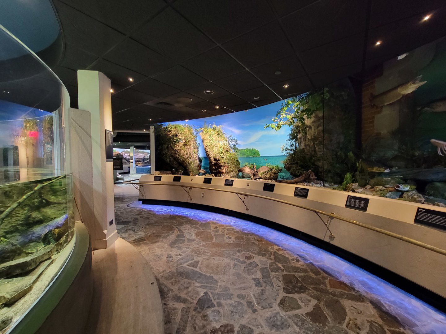 Toledo, Promedica Museum - Wetlands & Lakes, dioramas