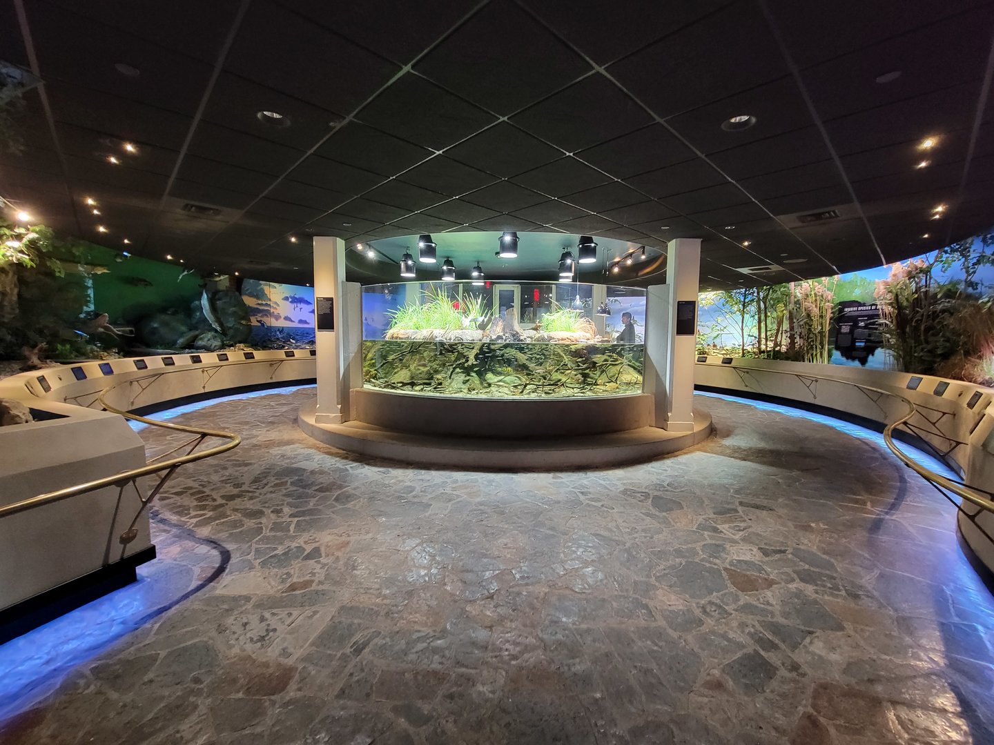 Toledo, Promedica Museum - Wetlands & Lakes